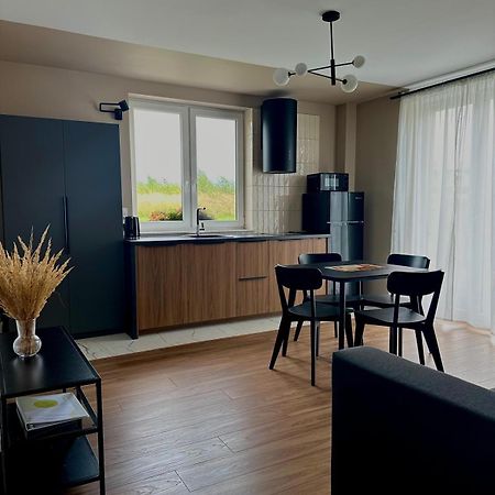 Apartamenty Przy Winnicy Busko-Zdrój Exterior foto
